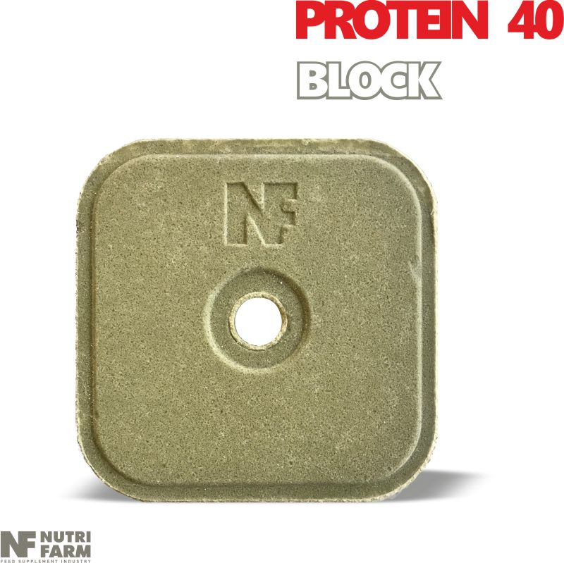ΠΛΑΚΕΣ ΛΕΙΞΕΩΣ ΠΡΩΤΕΪΝΗΣProtein 40Βιταμίνες & Ιχ...